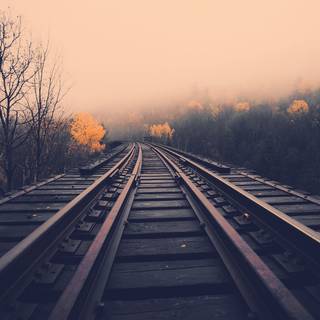 Autumn train tracks wallpaper
