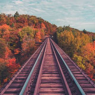Autumn train tracks wallpaper