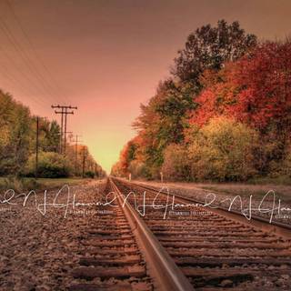 Autumn train tracks wallpaper