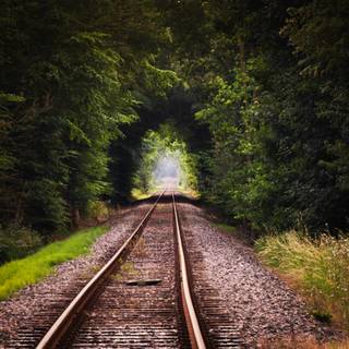 Autumn train tracks wallpaper