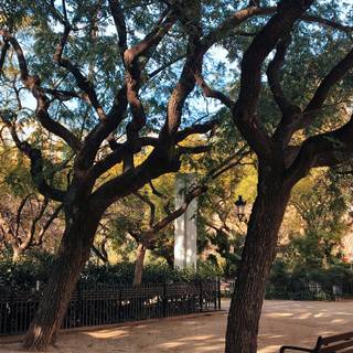 Autumn Barcelona wallpaper