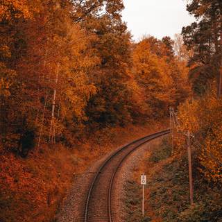 Autumn train tracks wallpaper
