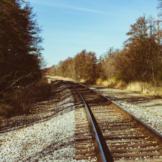 Autumn train tracks wallpaper