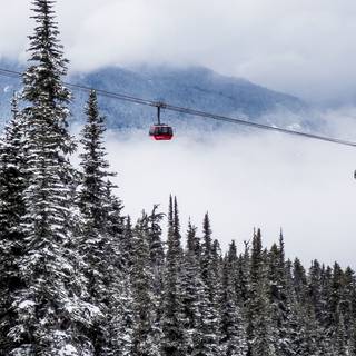 Winter postcard wallpaper