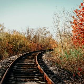 Autumn train tracks wallpaper