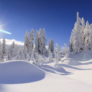 4k Canada winter wallpaper