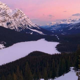 Lake winter forest wallpaper