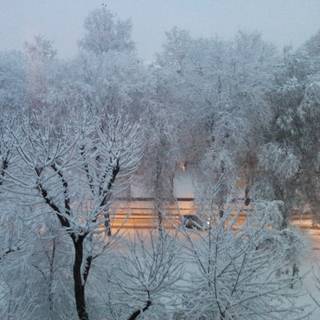 Milan winter wallpaper