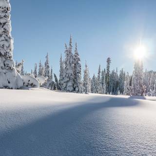 4k Canada winter wallpaper