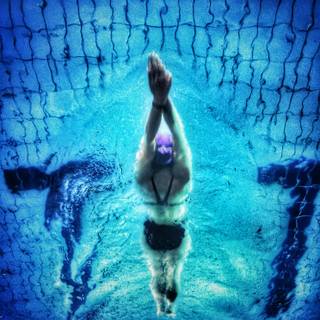 4k swimming wallpaper