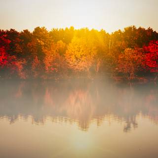 Autumn 4k iPhone wallpaper