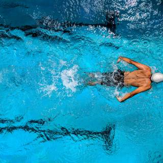 4k swimming wallpaper