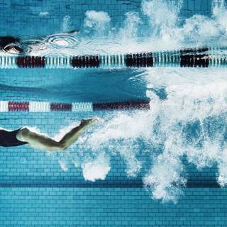 Competitive swimming wallpaper