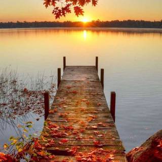 Autumn 4k iPhone wallpaper