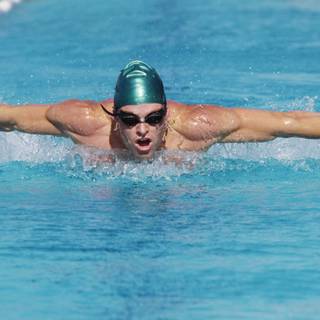 4k swimming wallpaper