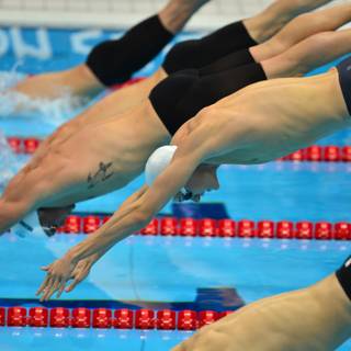 4k swimming wallpaper