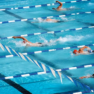 4k swimming wallpaper