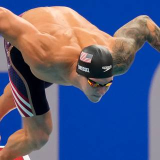 4k swimming wallpaper