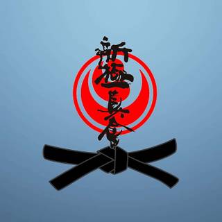 Karate iPhone wallpaper