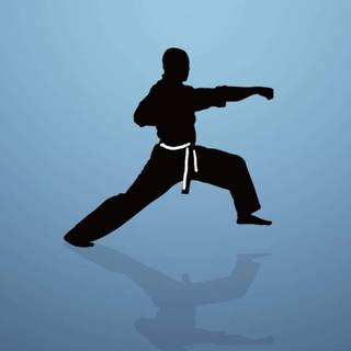 Karate iPhone wallpaper