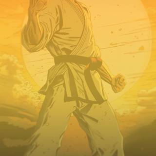 Karate iPhone wallpaper