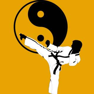 Karate iPhone wallpaper