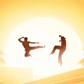 Karate iPhone wallpaper