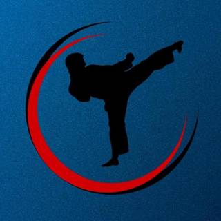 Karate iPhone wallpaper