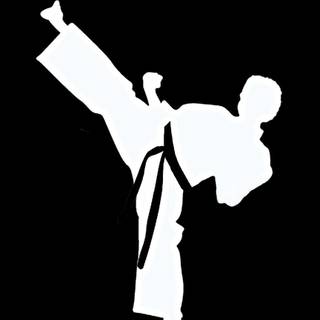Karate iPhone wallpaper