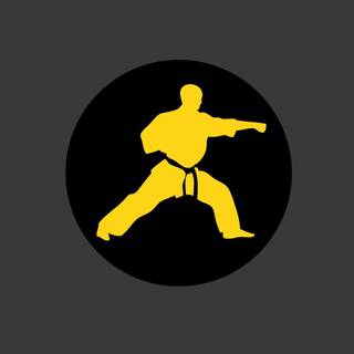 Karate iPhone wallpaper