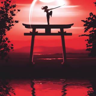 Karate iPhone wallpaper