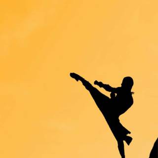 Karate iPhone wallpaper