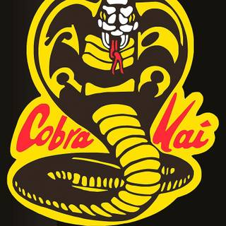 Karate iPhone wallpaper