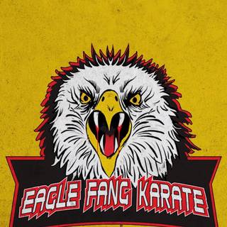Karate iPhone wallpaper
