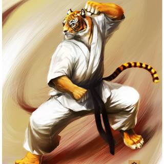 Karate iPhone wallpaper