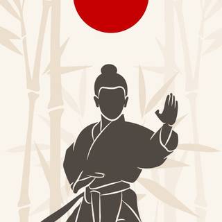 Karate iPhone wallpaper