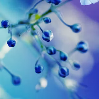 Cyan phone wallpaper