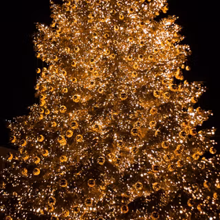 iPhone 12 Pro Max gold wallpaper