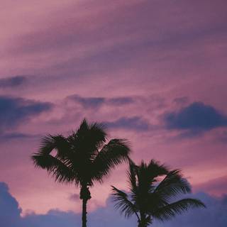 Aesthetic purple phone wallpaper