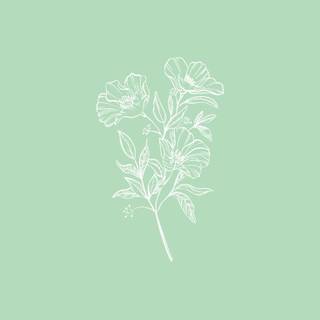 Green aesthetic phone wallpaper