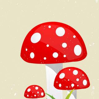 Mushroom phone wallpaper