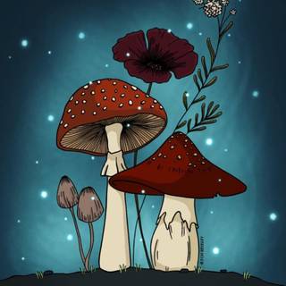 Mushroom phone wallpaper