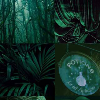 Green aesthetic phone wallpaper