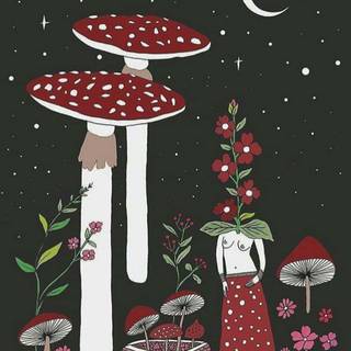 Mushroom phone wallpaper