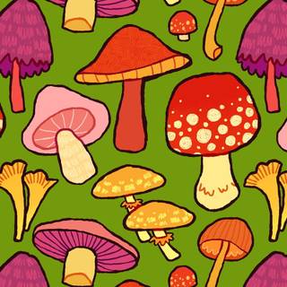 Mushroom phone wallpaper