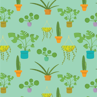 Plant iPhone wallpaper