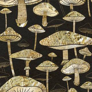 Mushroom phone wallpaper