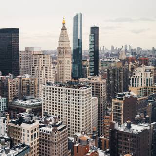 Rich iPhone wallpaper