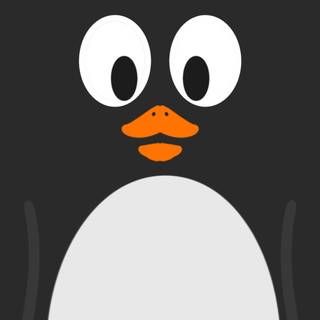 Penguin iPhone wallpaper