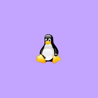 Penguin iPhone wallpaper